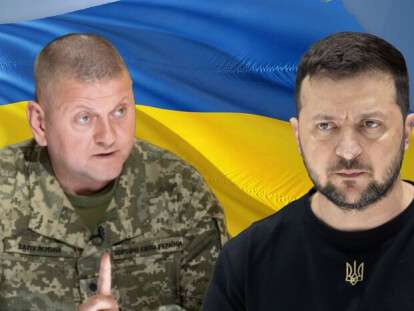 зеленський і залужний