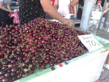 photo_2023-08-05_12-12-30