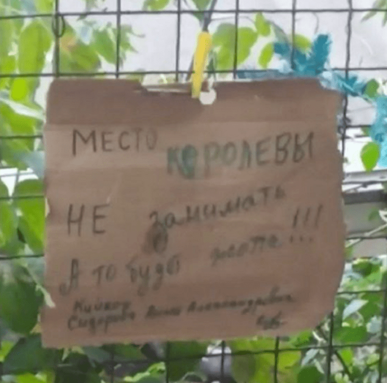королева