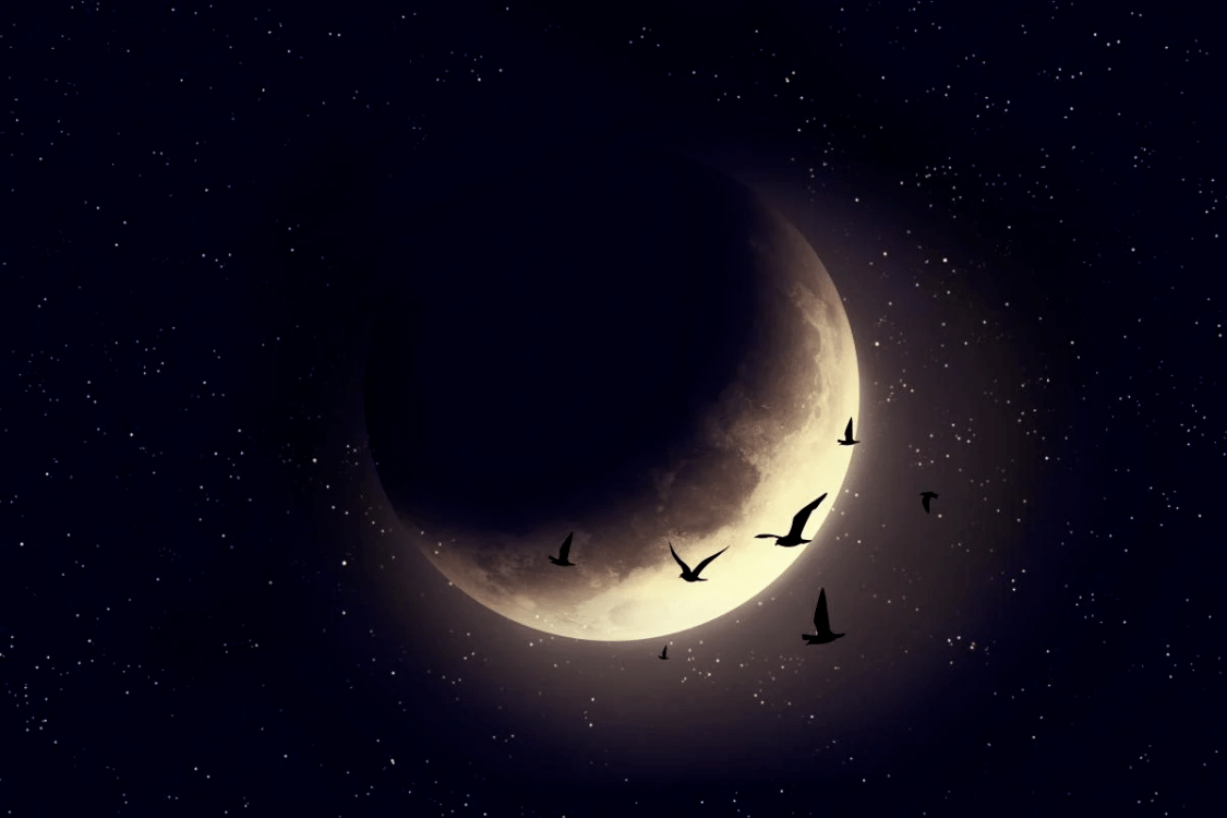 Черная луна