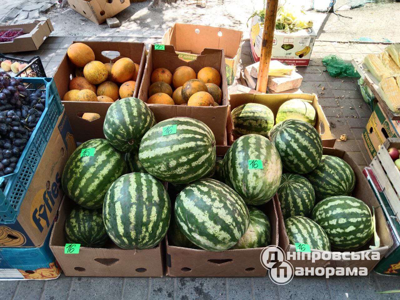 ціни на фрукти Дніпро