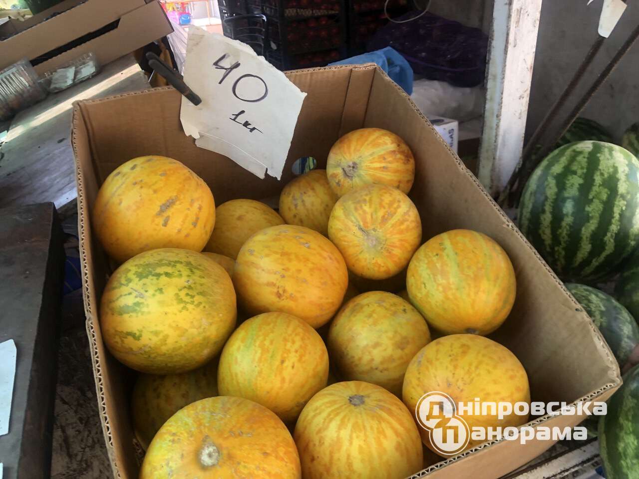 цены на фрукты Днепр