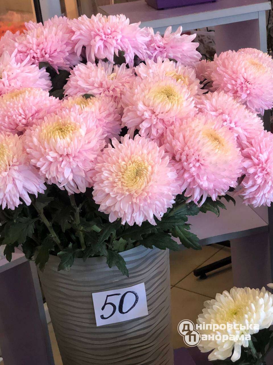 цены на цветы Днепр