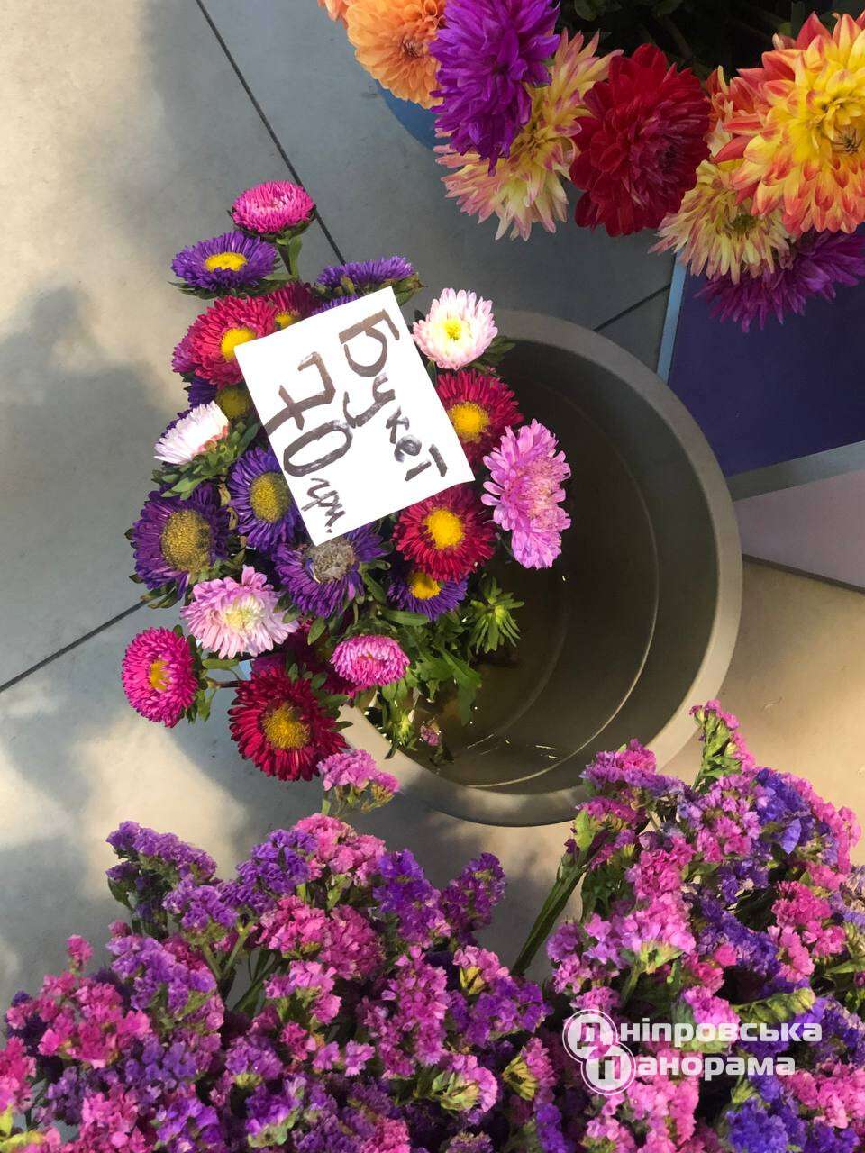 цены на цветы Днепр