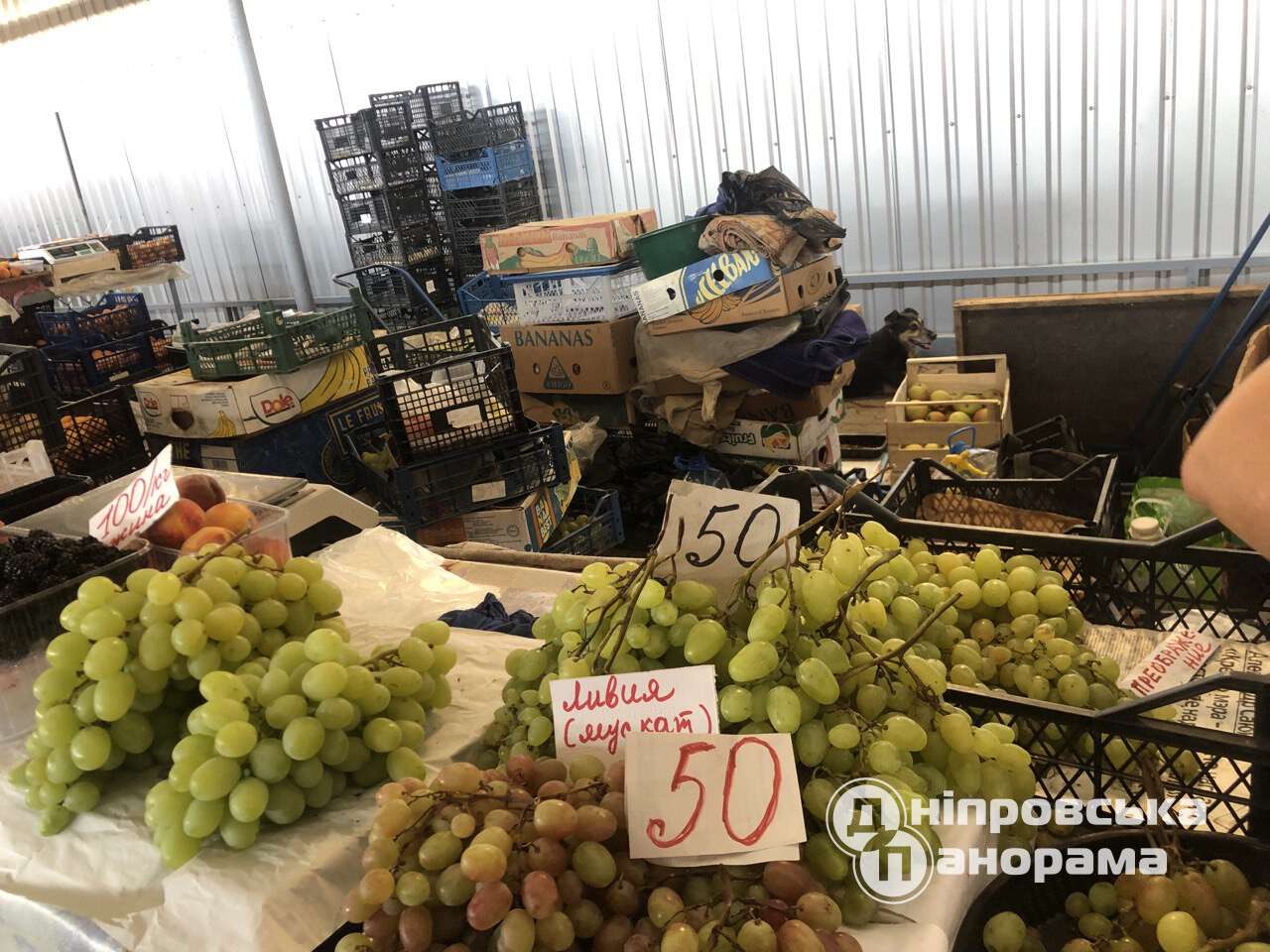 ціни на віноград Дніпро