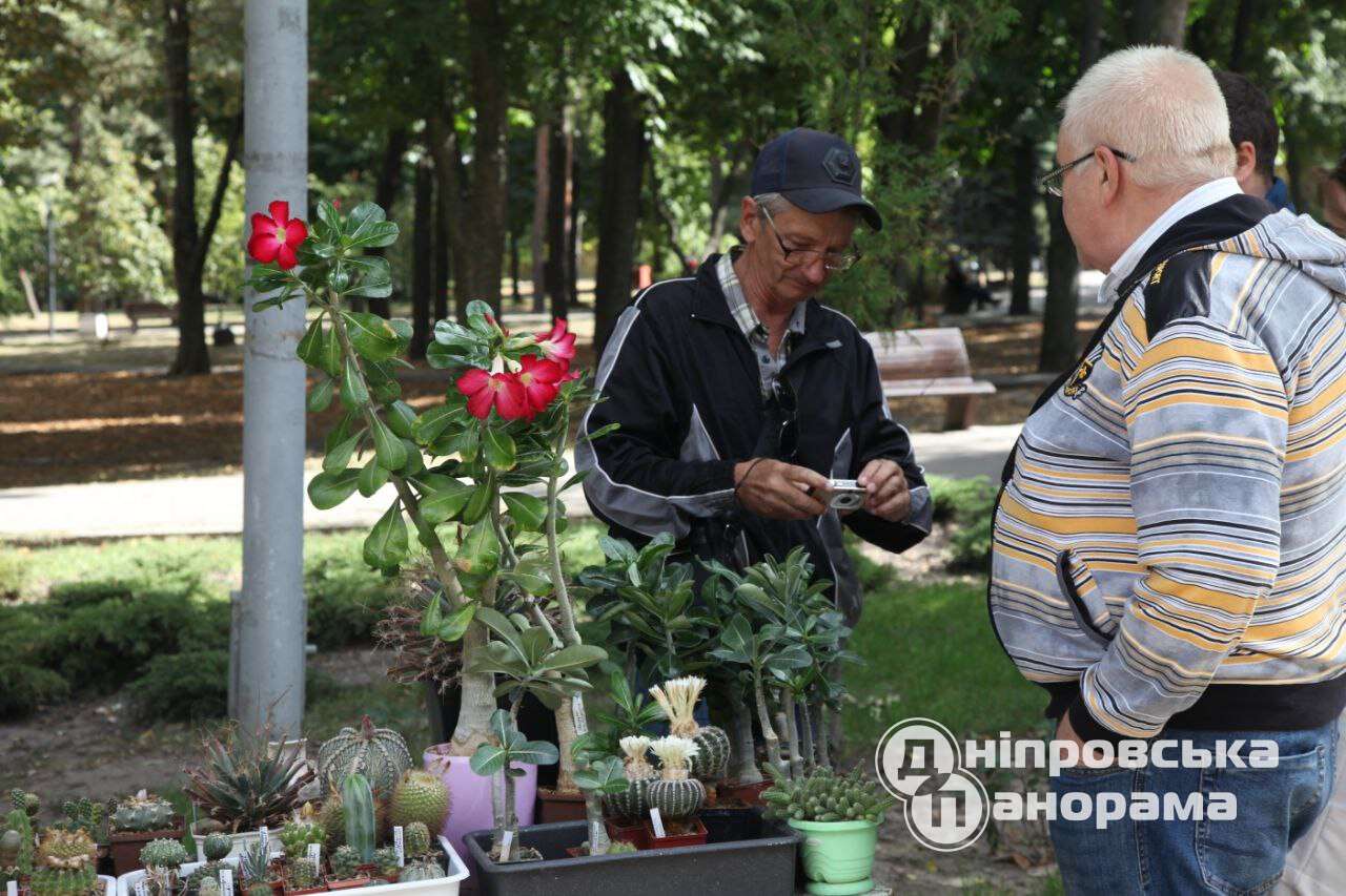 Дніпро 247
