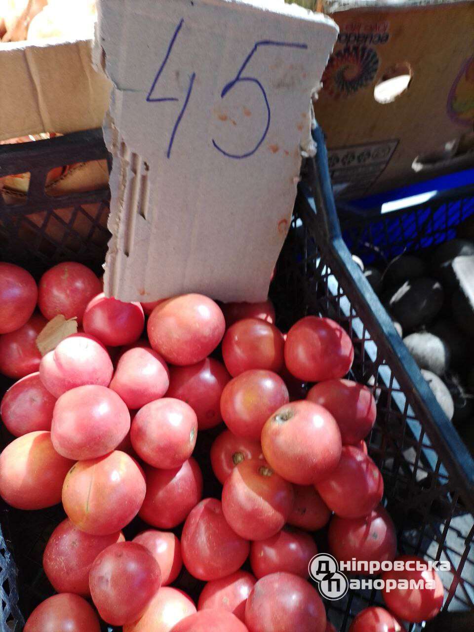 ціна на помідори