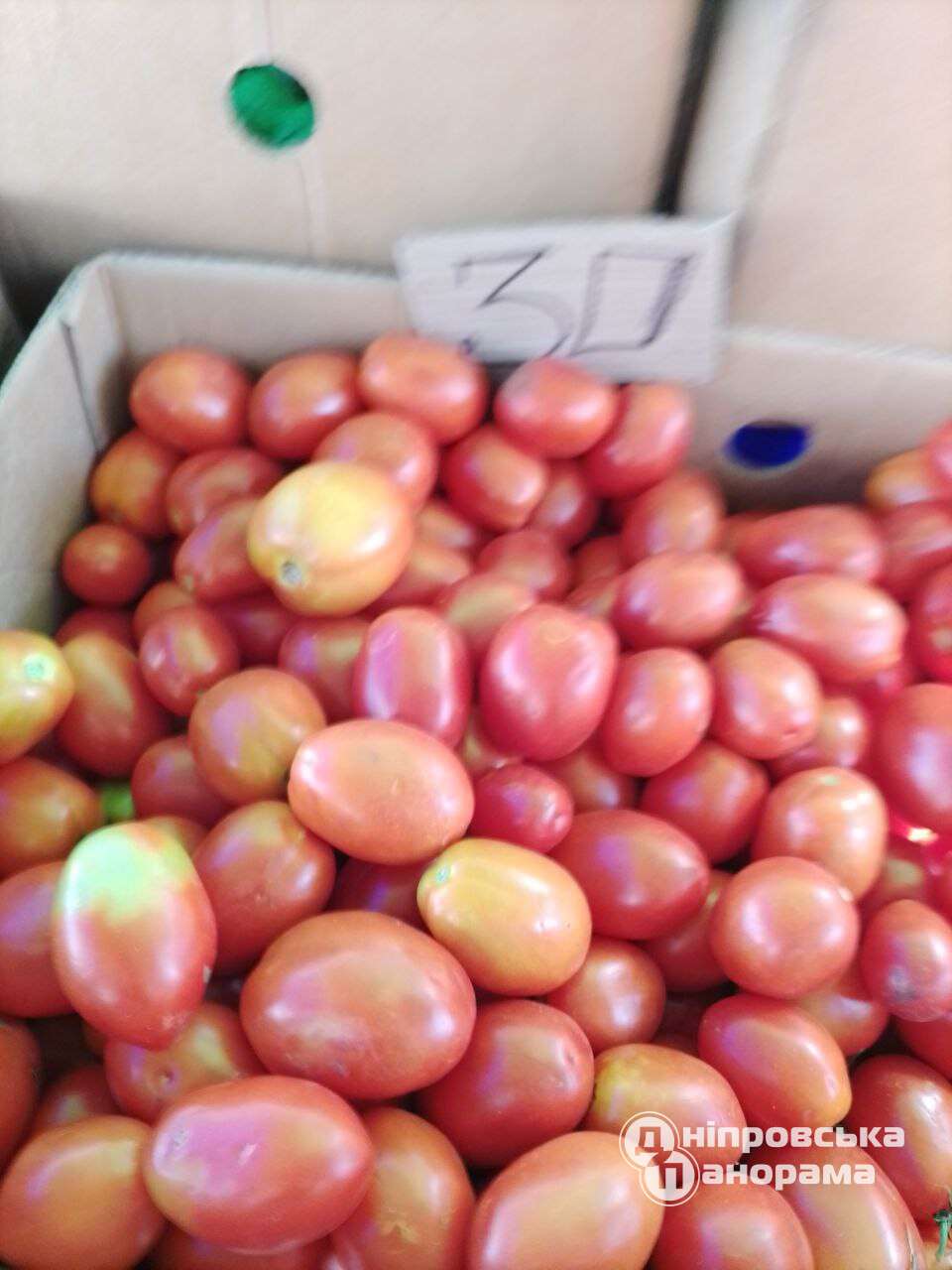 ціна на помідори