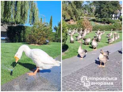 парк Сич в Днепре