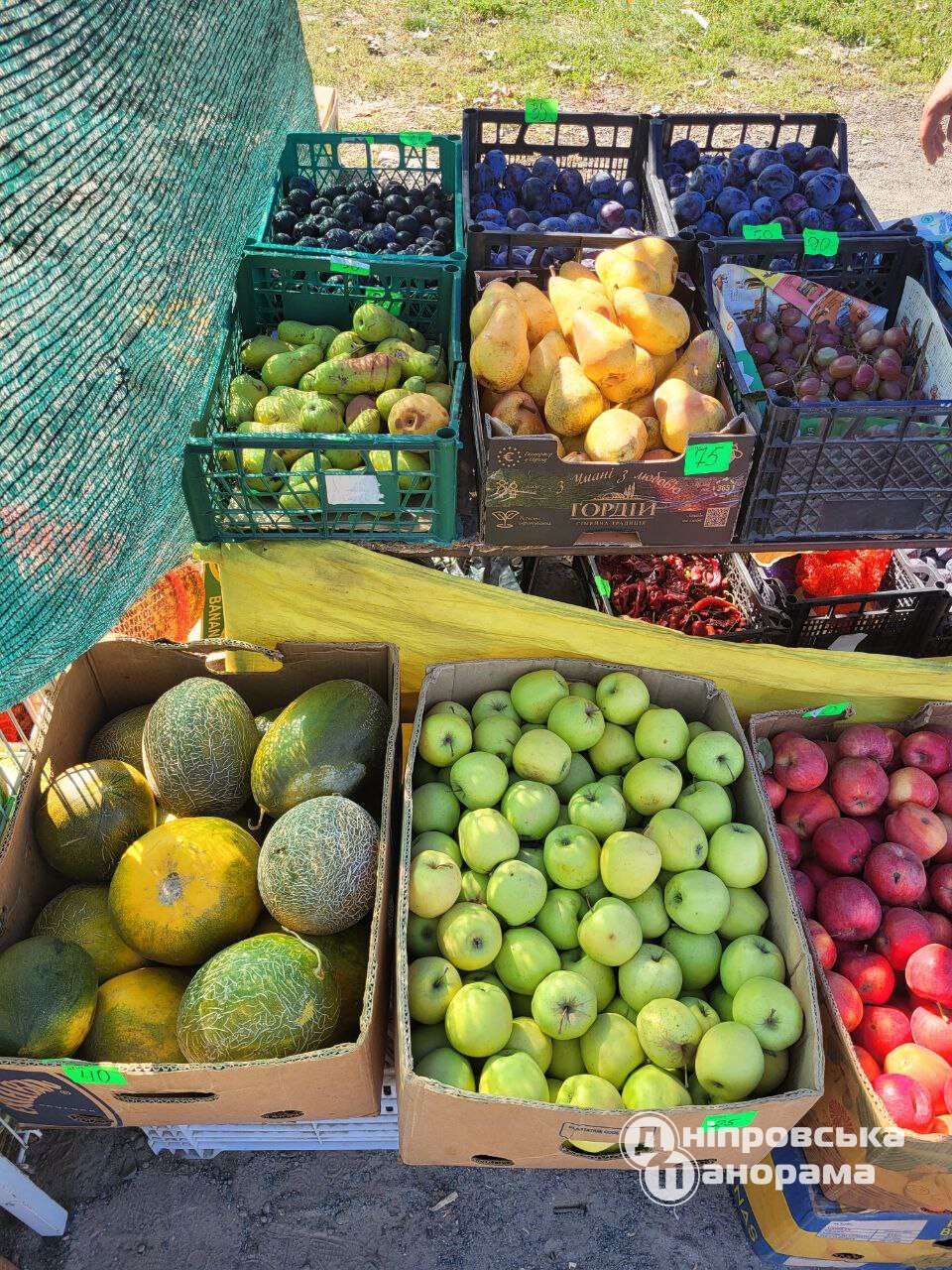 ціни на овочі та фрукти Дніпро