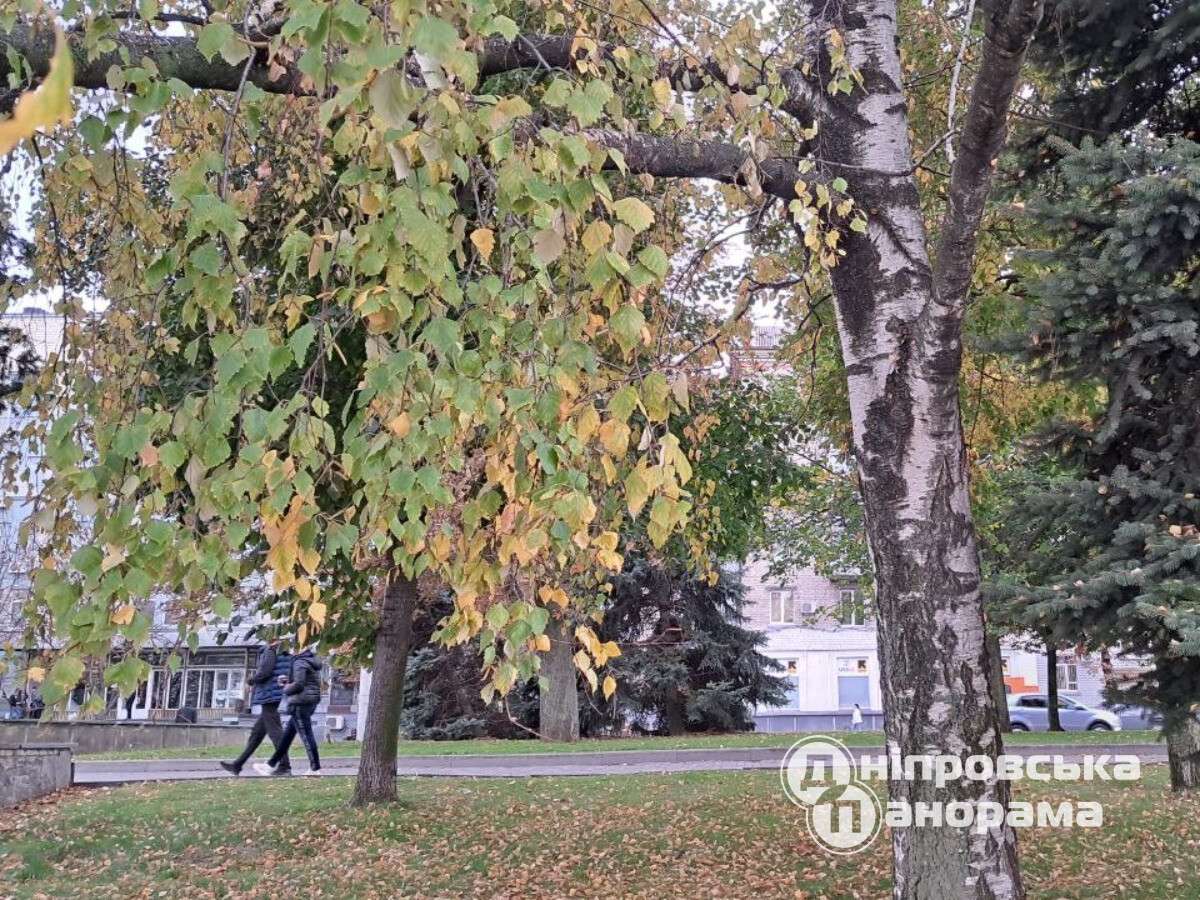 День Матрони. Почему сегодня надо просить прощения и нельзя стричь ...