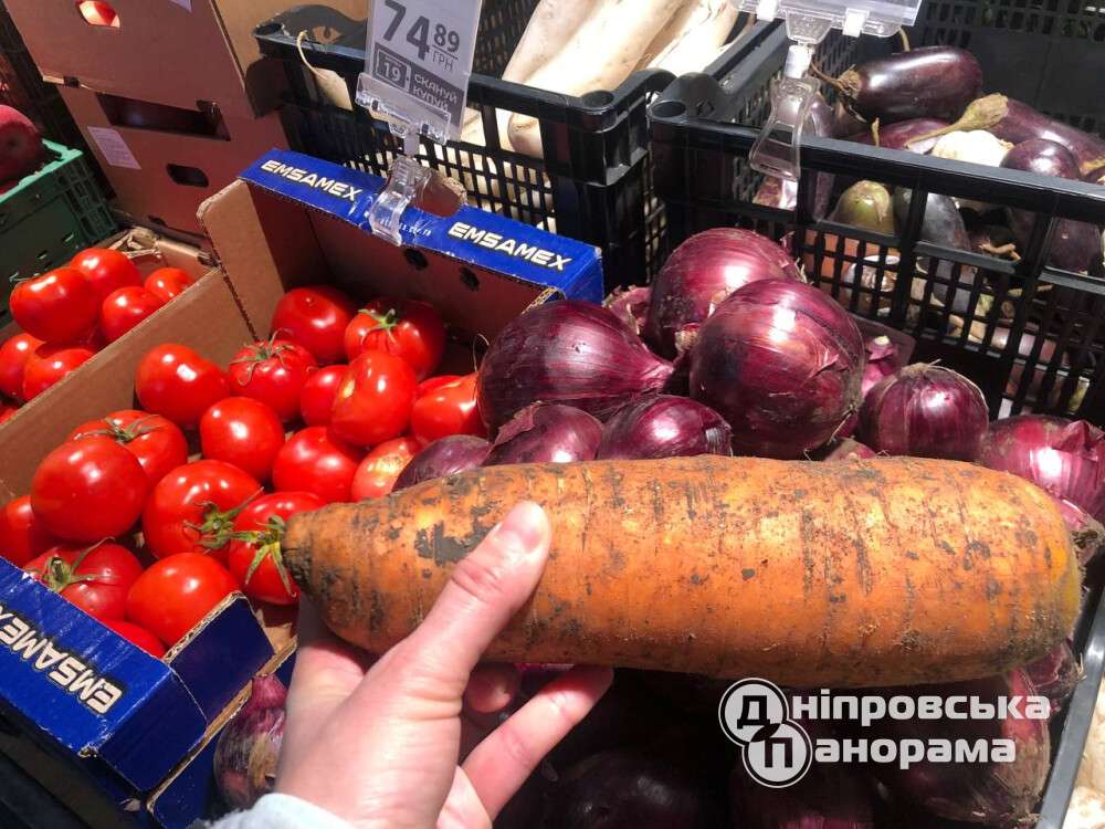 морковь-гигант2
