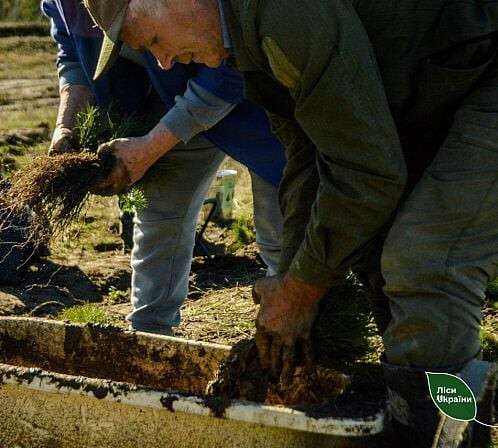 у пам’ять загиблих захисніків висадили новий ліс на Дніпропетровщині
