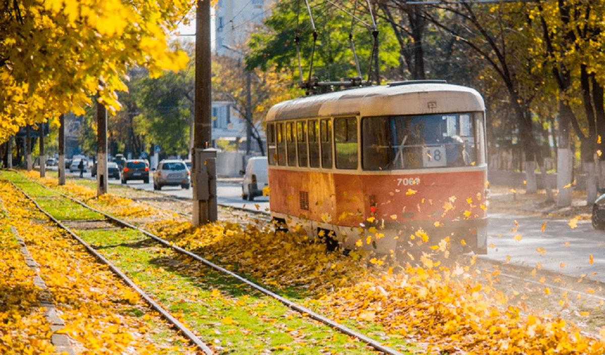трамвай листья