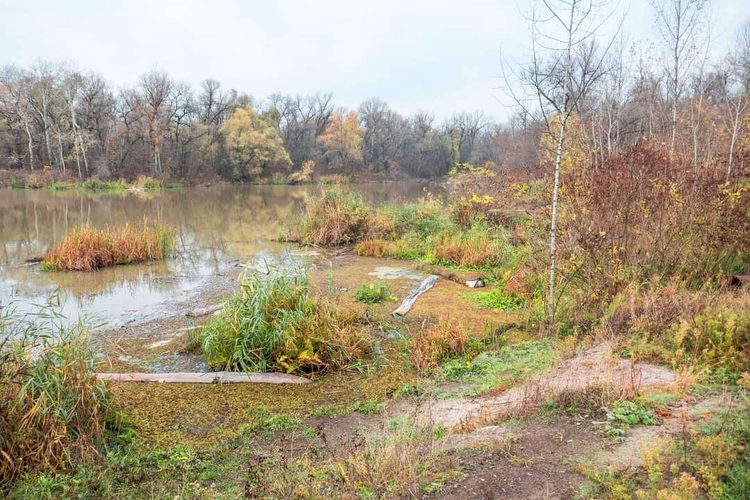 діївські плавні