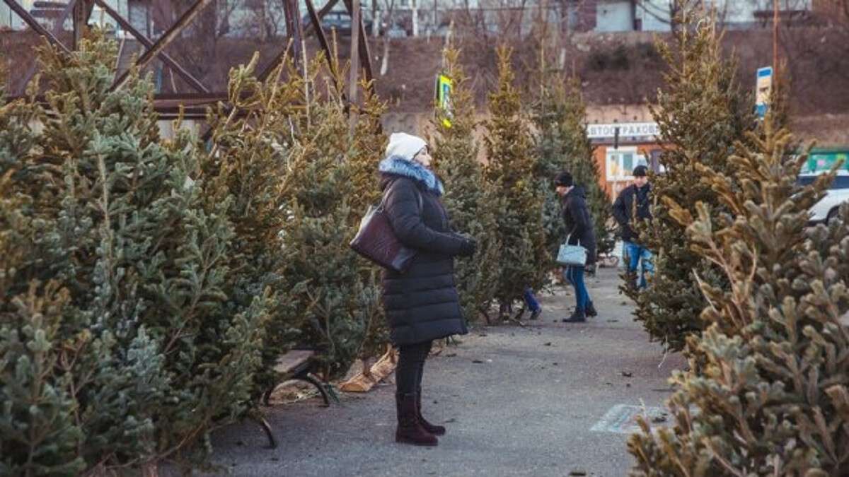 ялинковий базар