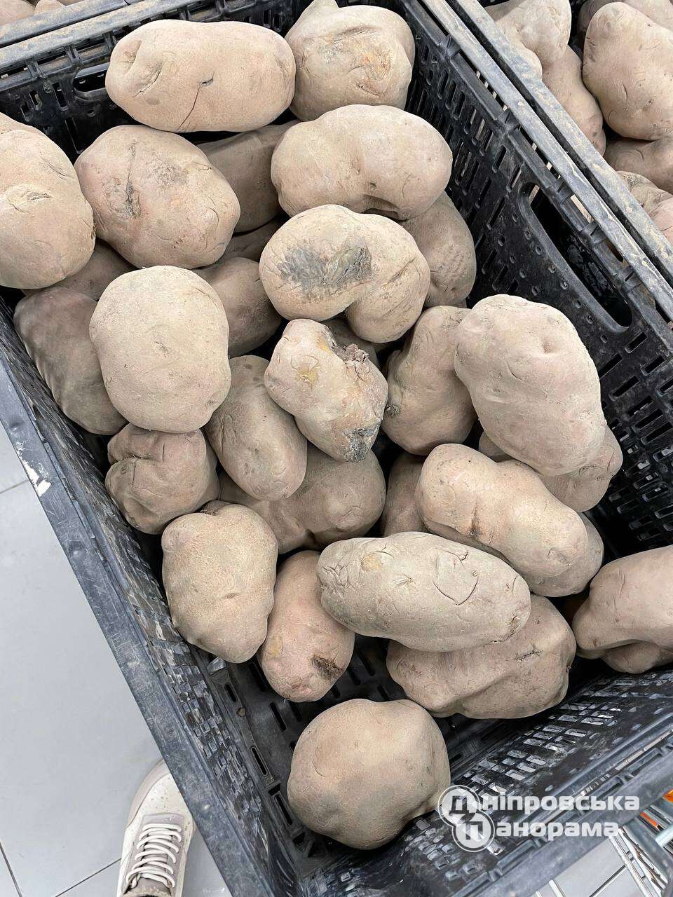 у Дніпрі продають гнилу картоплю