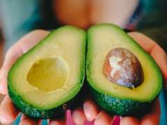 авокадо1200