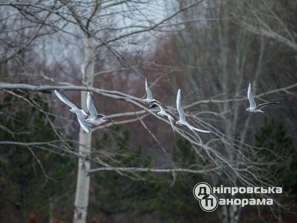 Традиції та заборони дня