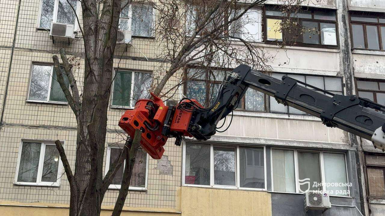 аварійні дерева Дніпро