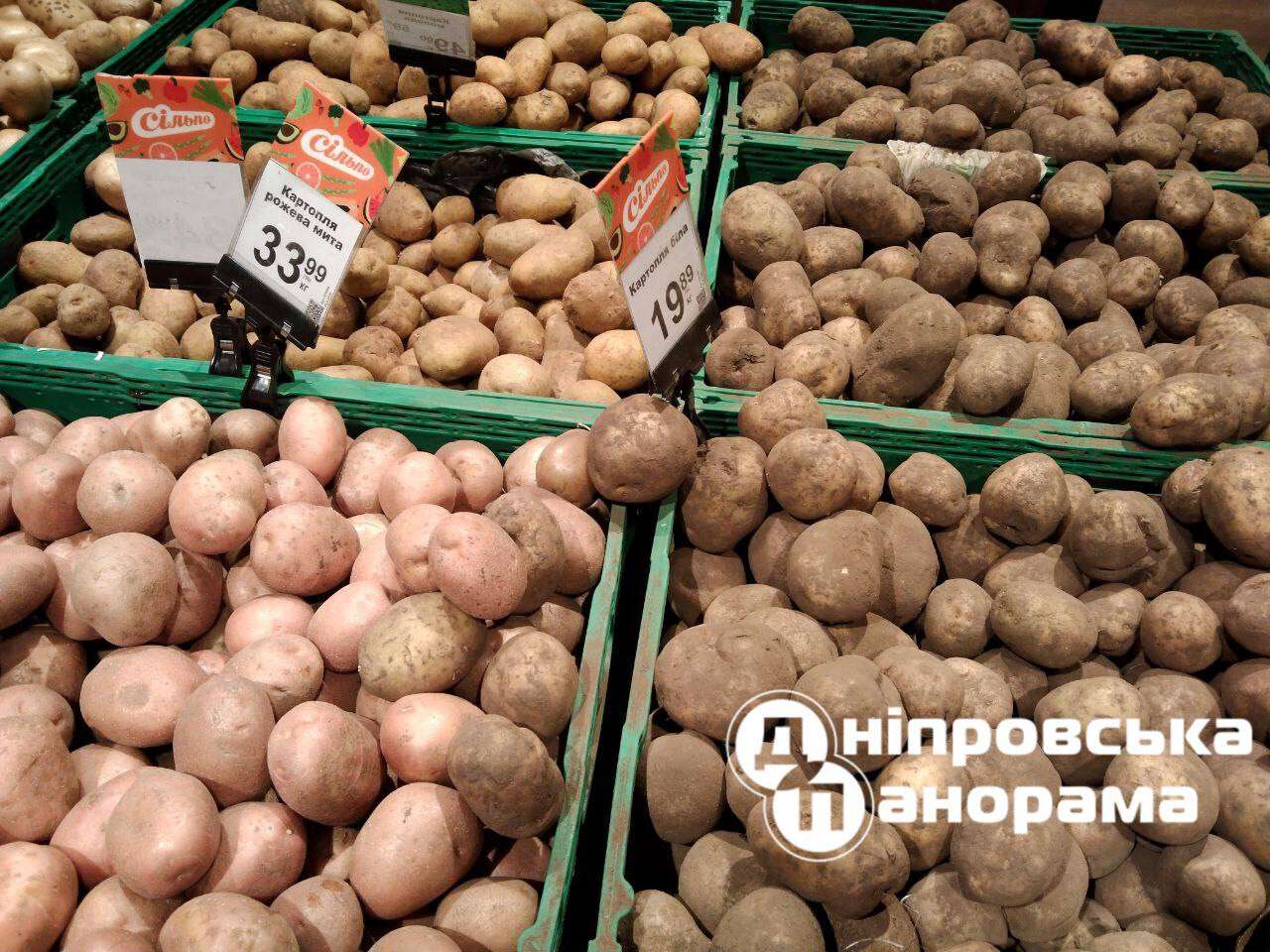 ціни на картоплю Дніпро