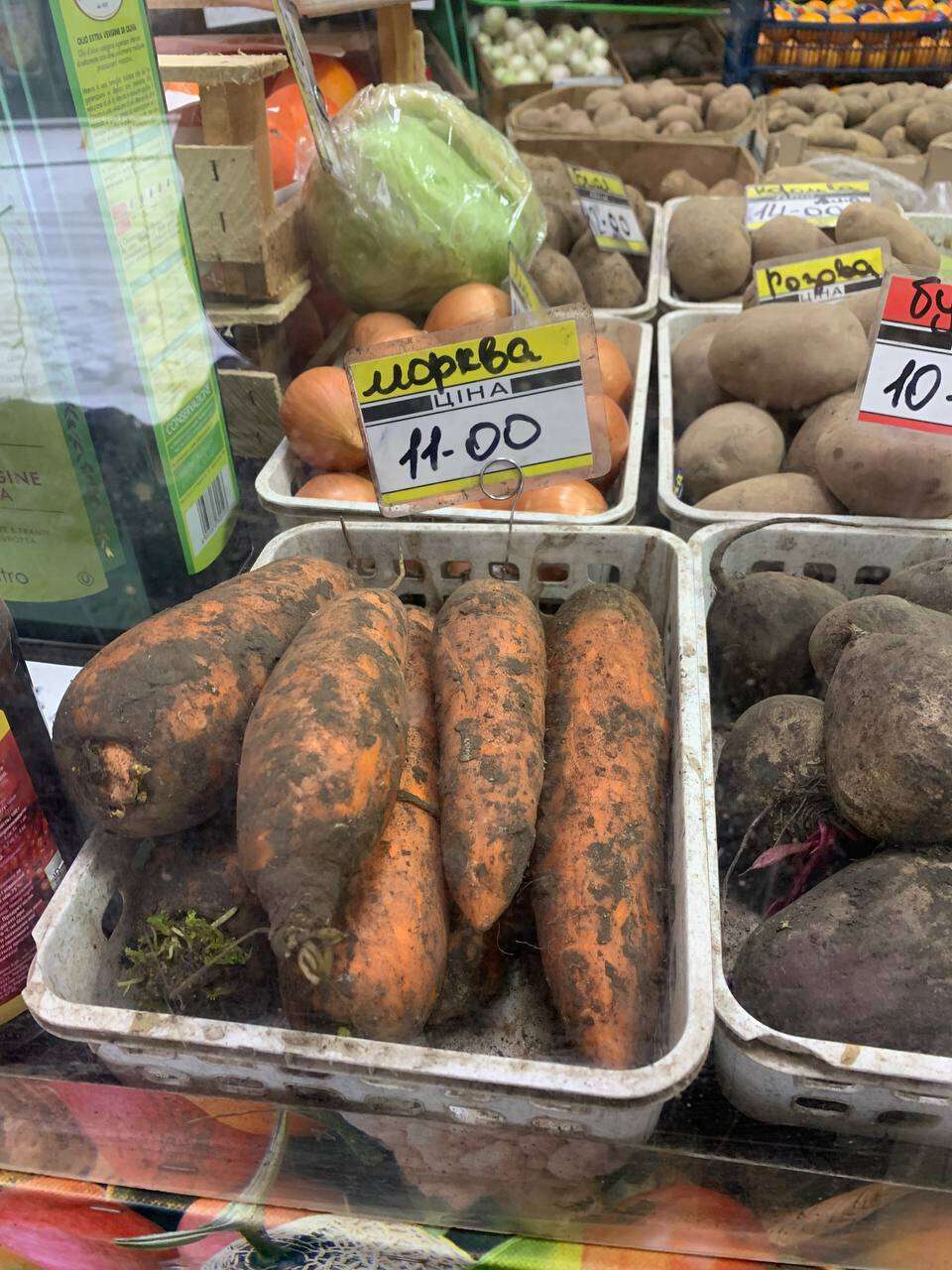 ціни на моркву в Дніпрі