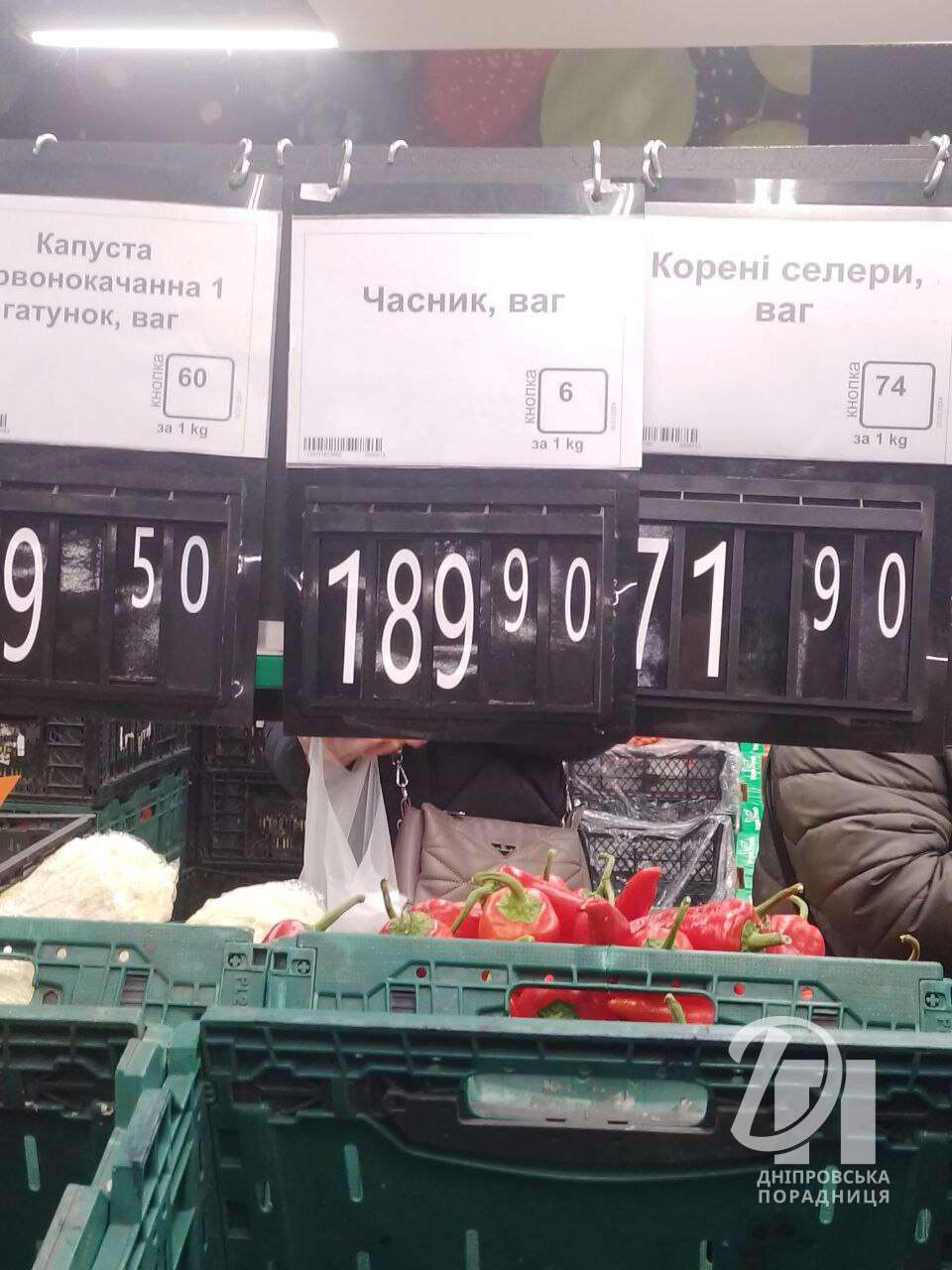 Ціни на часник Дніпро 