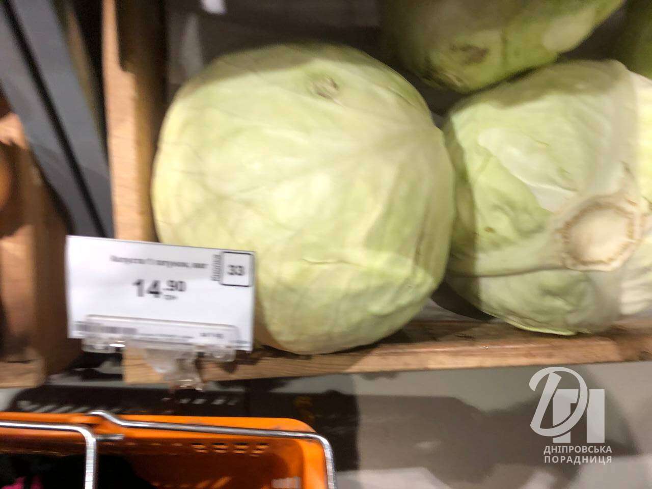 Ціни на капусту у Дніпрі 
