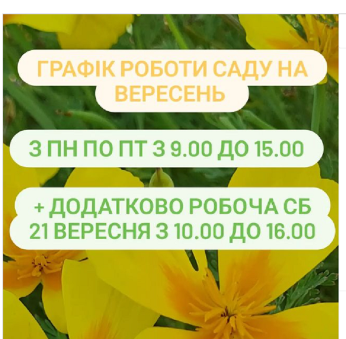 ботсад