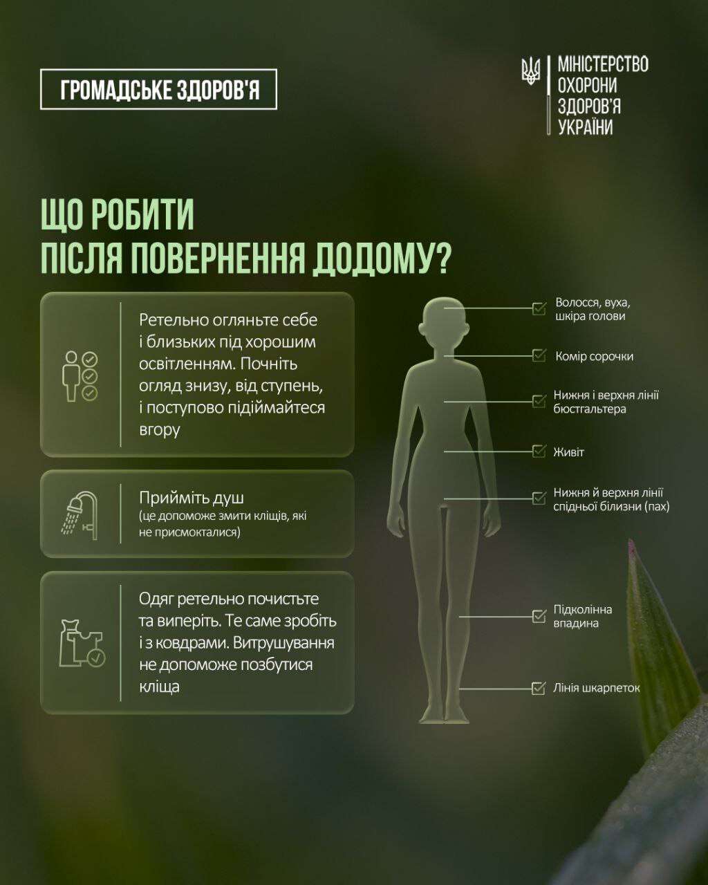 гром1