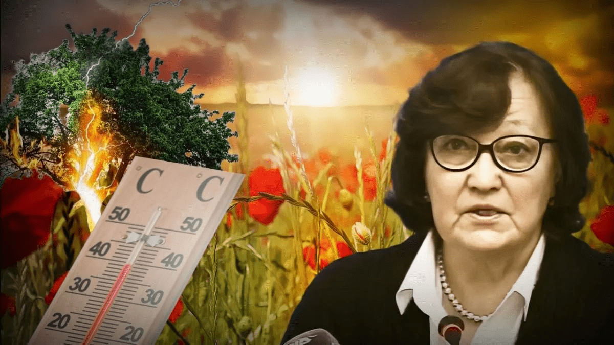 мартазінова