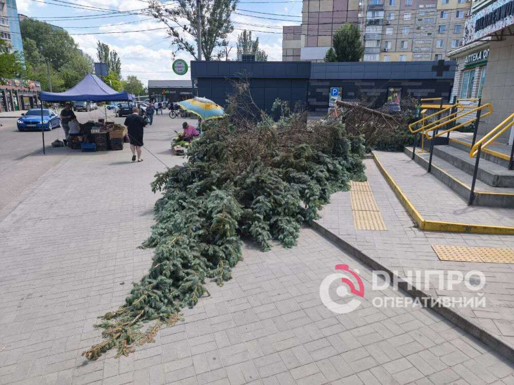 photo-2025-05-24-17-39-52-optimized