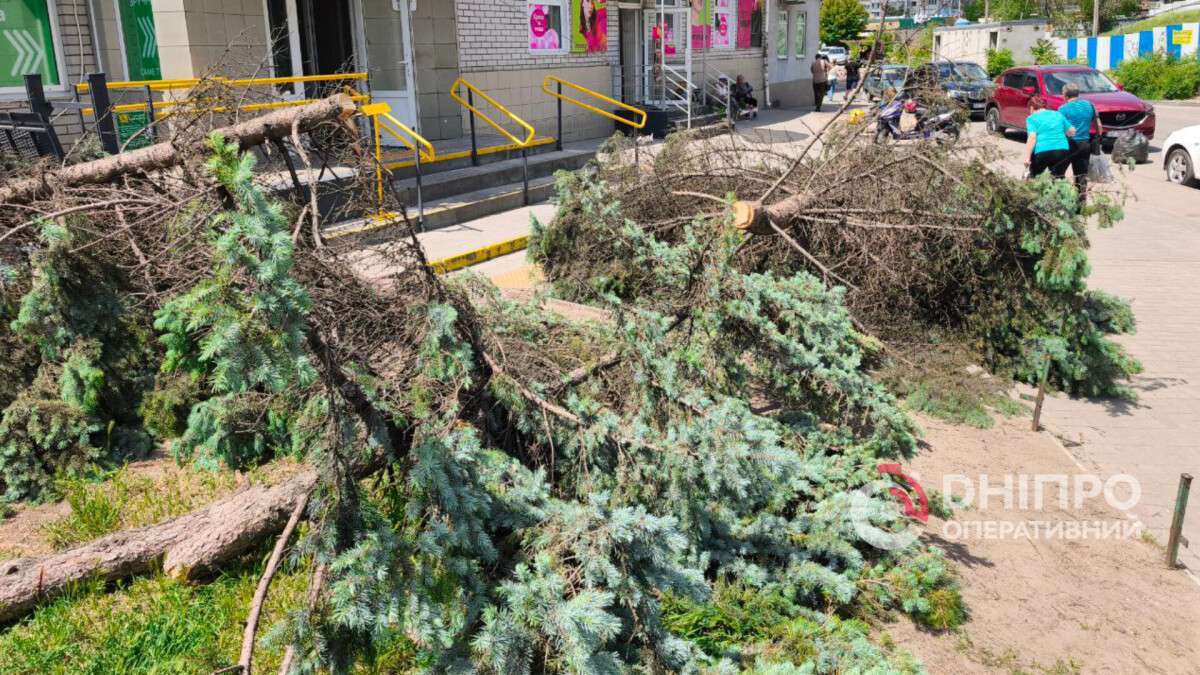 Нічний вандалізм у Дніпрі: у спальному районі спиляли блакитні ялинки