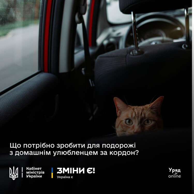 вфі
