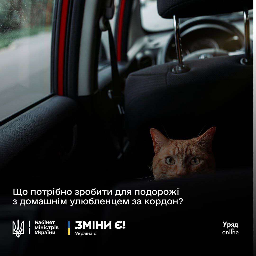 вфі