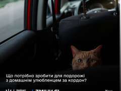 вфі