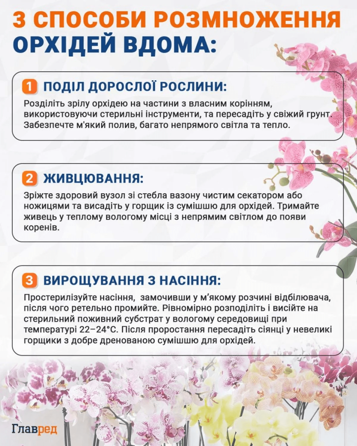 розм
