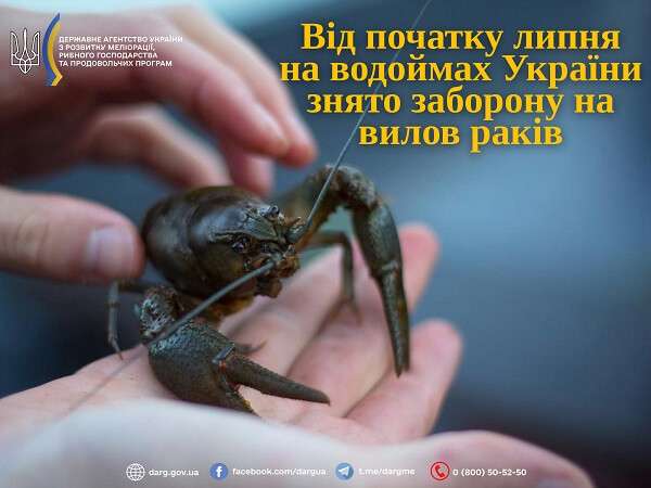 раки