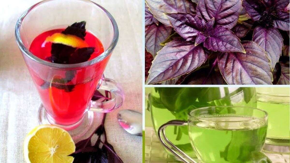 компот