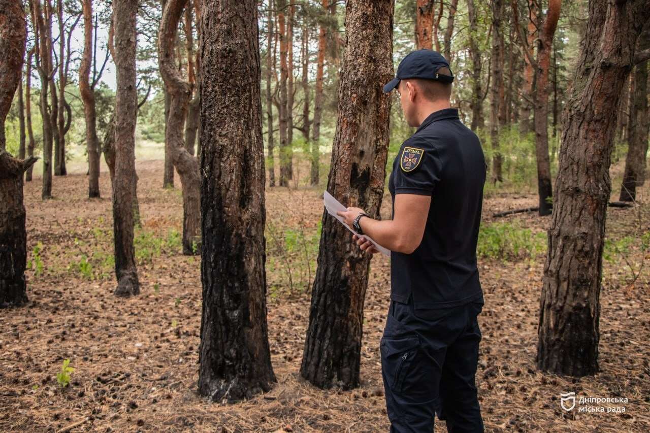 штраф