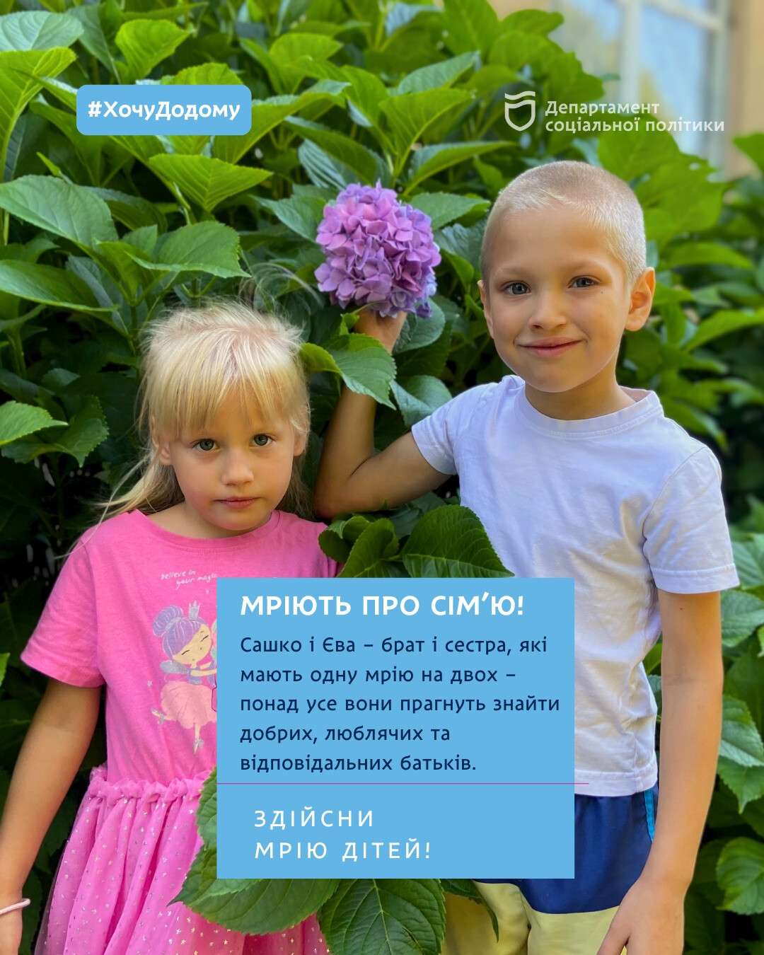 мрія1
