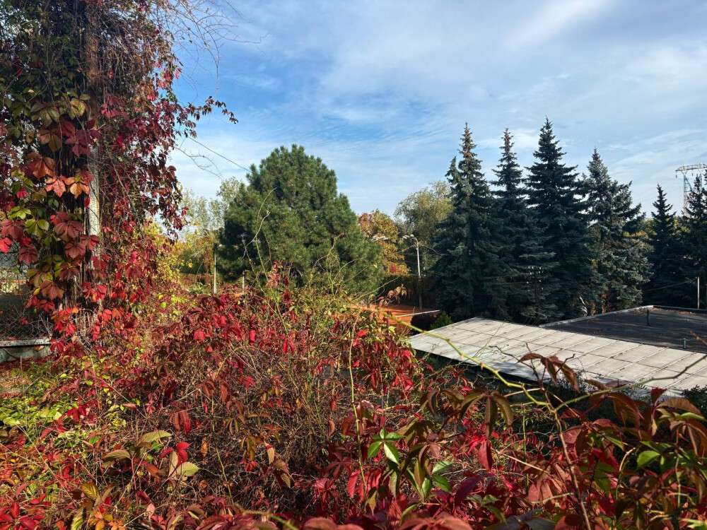 осінь