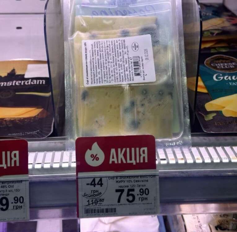 photo_2025-11-20_05-41-46