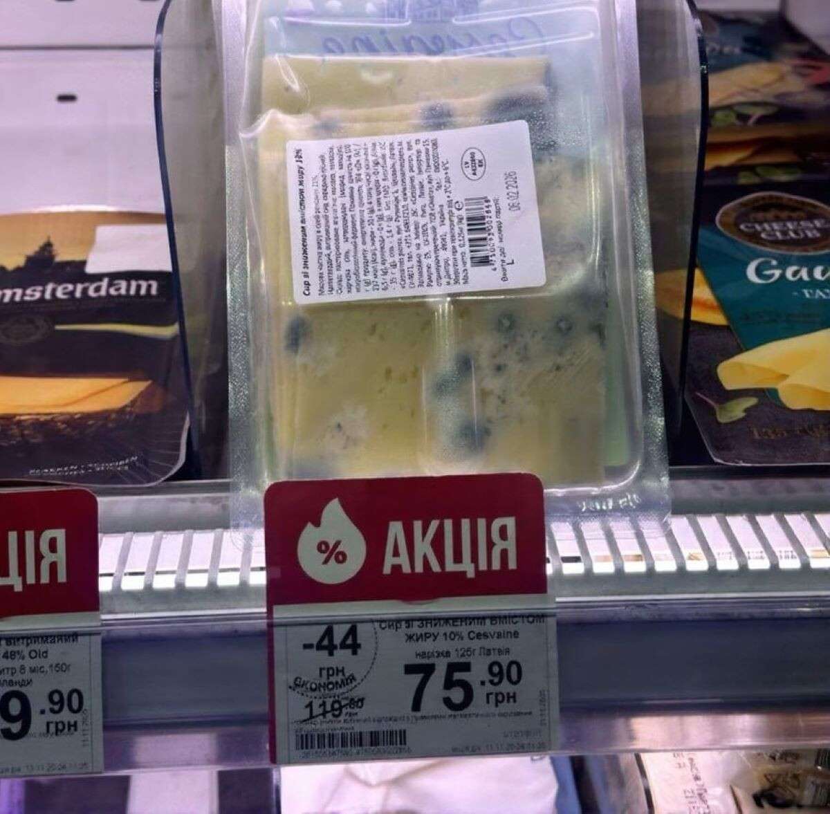 photo_2025-11-20_05-41-46