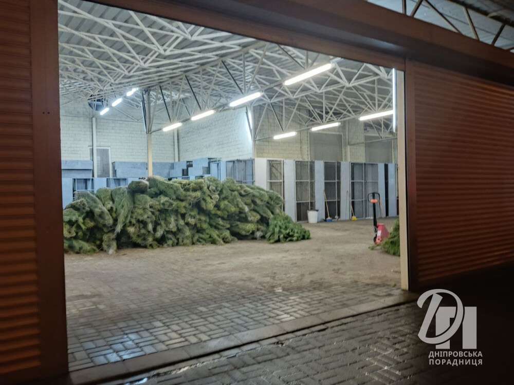 photo_2025-12-02_05-20-04