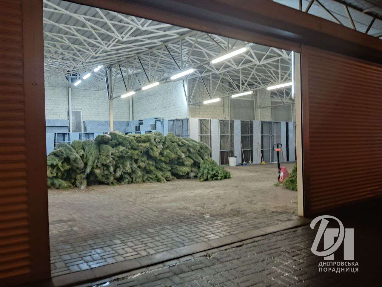 photo_2025-12-02_05-20-04