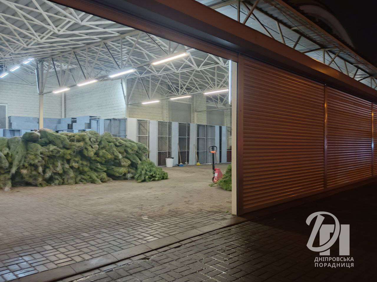 Новорічні ялинки з'явилися на центральному ринку "Озерка" у Дніпрі