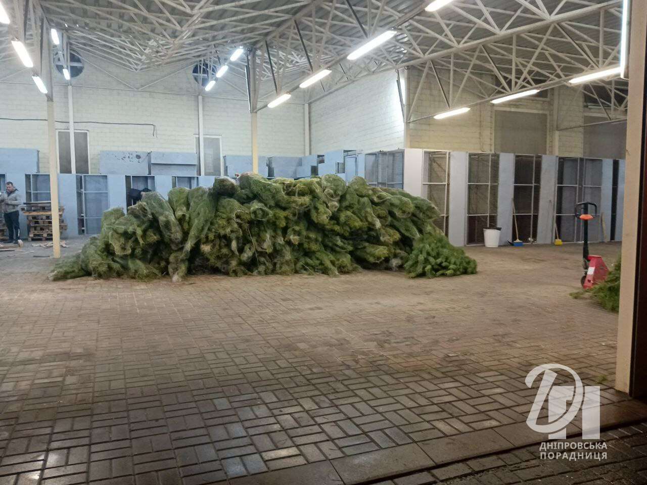 Новорічні ялинки з'явилися на центральному ринку "Озерка" у Дніпрі