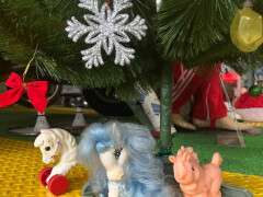 599630475_2616277672066645_7684086653022109846_n