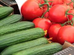 огірки помідори